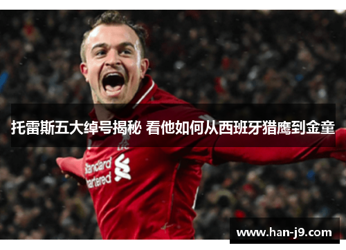 托雷斯五大绰号揭秘 看他如何从西班牙猎鹰到金童 托雷斯五大绰号揭秘 看他如何从西班牙猎鹰到金童